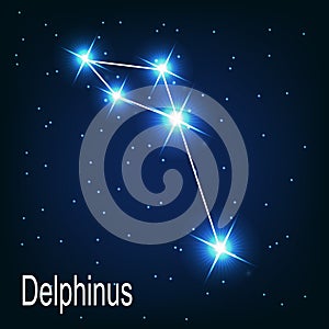 The constellation Delphinus star in the night