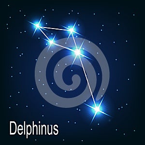 The constellation Delphinus star in the night photo