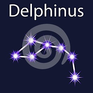 constellation Delphinus with stars in the night sky photo