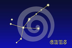 Constellation Grus
