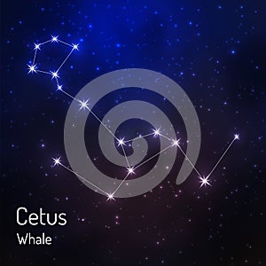 Constellation in the night starry sky