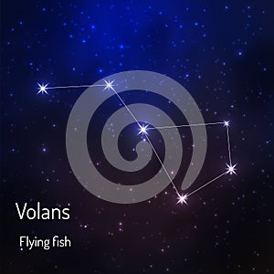 constellation in the night starry sky