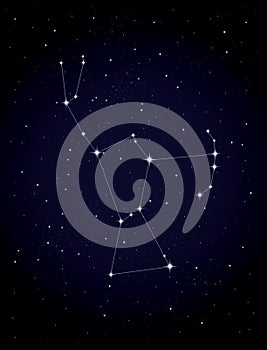 Constellation Orion