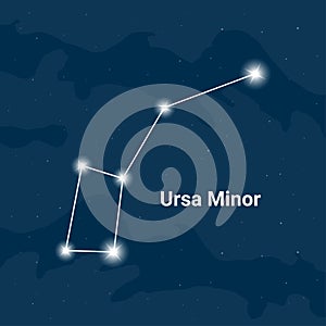 The constellation Ursa Minor or The Little Bear - Vector