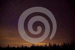 Constelllation night