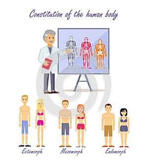 Constitution of the Human Body Types