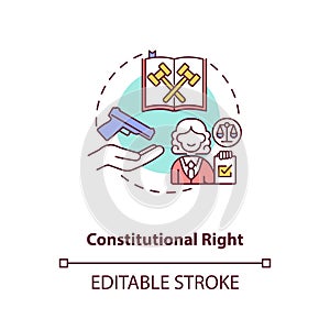 Constitutional right concept icon