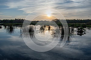 Constructed wetlands of Green Cay Nature Center at sunrise.