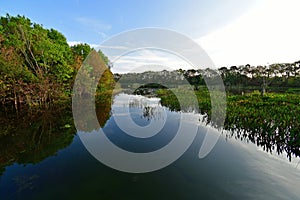 Constructed wetlands of Green Cay Nature Center at sunrise.