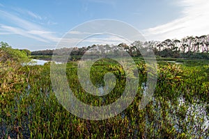 Constructed wetlands of Green Cay Nature Center at sunrise.