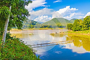 Construction of Bamboo Bridge over Mekong River Luang Prabang Laos