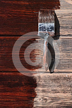 Construction brush rests on freshly painted wooden background