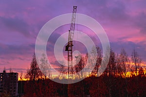 Construction crane on the background of the twilight sky at the construction site in autumn