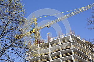 Construction crane, building and flowering tree