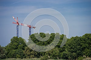 Construction crane towering above the trees, city and nature