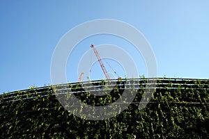 Construction cranes appear over wall of green plants. Blue sky background