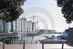 Construction cranes, buildings and powerboats at Viaduct Harbour