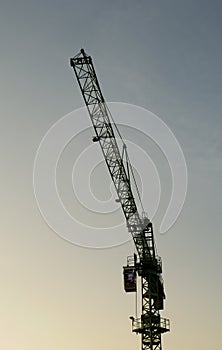 Construction cranes evening