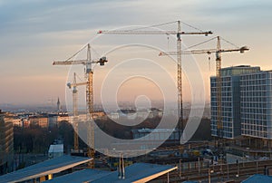 Construction Cranes in the Morning with the Skyline of Vienna