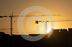 Construction cranes in silhouette at sunrise, with sun rising behind tall buildings