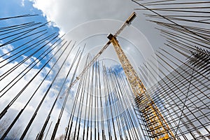 Construction cranes silhouettes