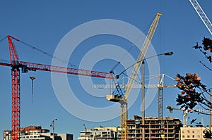 Construction Cranes of the Skyline