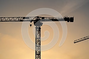 Construction cranes in the sunset sky