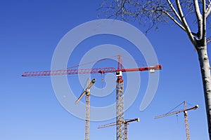 Construction cranes view over blue sky