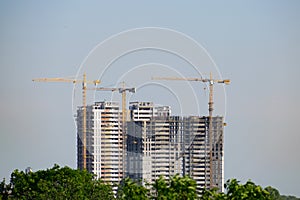 Construction cranes at work