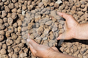 Construction of expanded clay, expanded clay in the hand of the worker