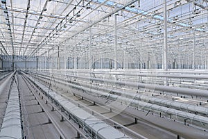 Construction of a greenhouse for growing vegetables