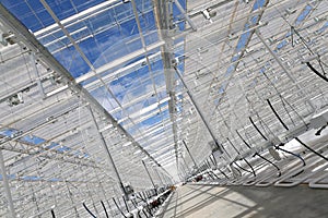 Construction of a greenhouse for growing vegetables