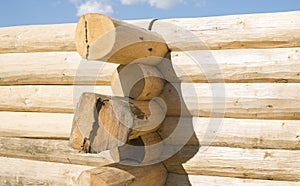 Construction of the handcrafted scribe fit log house