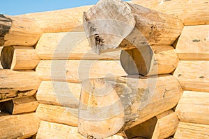 Construction of the handcrafted scribe fit log house