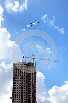 Construction industry image of tall crane and building exterior