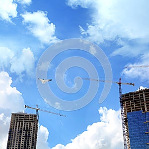 Construction industry image of tall cranes and building exterior