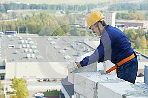 Construction mason worker bricklayer