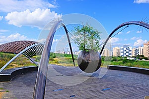 The construction of metal structures with a metal sphere suspended from them with a tree Ficus sycomorus - a symbol of the city of