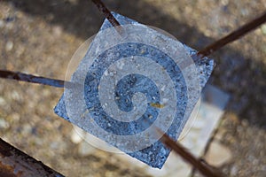 Construction pole with cement and rebar