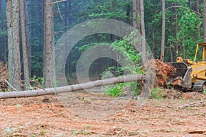 The construction process involved the use of tractor skid steers to uproot trees to make way for the development of a