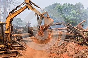 Construction of a residential complex is being prepared by excavators tractors uprooting trees