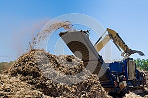 Construction site area in crane loading roots wood to chipper shredder machine