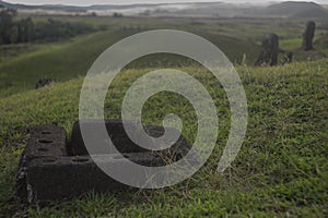 Construction site of the moai of Easter Island