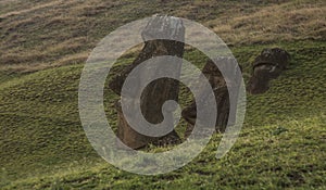 Construction site of the moai of Easter Island