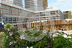 Construction site of a new residential district with buildings covered by scaffolding and protective nets. The site is surrounded