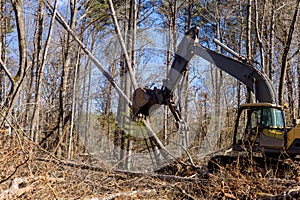 In the construction site, skid steers were used to clear the uprooted trees from the land so that the subdivision of