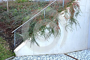 Construcción de empinado escalera más cercano concreto muro. barandillas más alto conservación muro más alto cual 