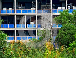 Construction of towerblock with trees and plants in the foreground Vietnam photo