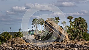 Construction Vehicle - Dump Truck dumps load of dirt in a Florida wetland