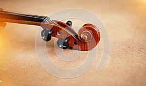 The construction of violin,Scroll,Pegbox and neck